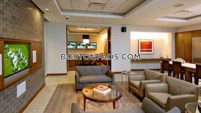 Downtown Apartment for rent 1 Bedroom 1 Bath Boston - $4,217