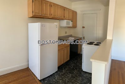 Fenway/kenmore Apartment for rent 1 Bedroom 1 Bath Boston - $3,100 No Fee