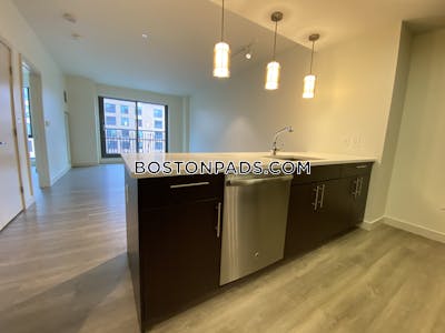West End Apartment for rent 1 Bedroom 1 Bath Boston - $3,775