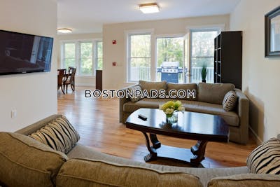 Cambridge Apartment for rent 1 Bedroom 1 Bath  Mt. Auburn/brattle/ Fresh Pond - $3,350 No Fee