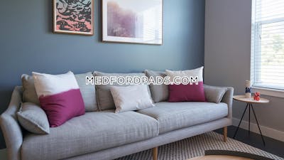 Medford Apartment for rent 1 Bedroom 1 Bath  Wellington - $3,283 No Fee