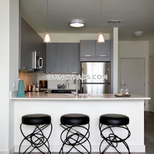 Quincy Apartment for rent 2 Bedrooms 2 Baths  Quincy Center - $3,318 No Fee