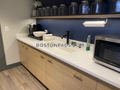 Allston Apartment for rent 1 Bedroom 1 Bath Boston - $2,940