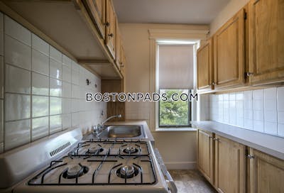 Allston Apartment for rent Studio 1 Bath Boston - $2,450