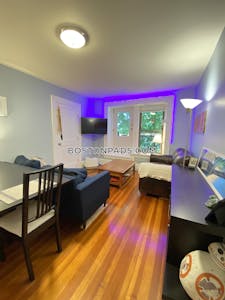 Brookline 2 Beds 1 Bath  Washington Square - $3,200 No Fee